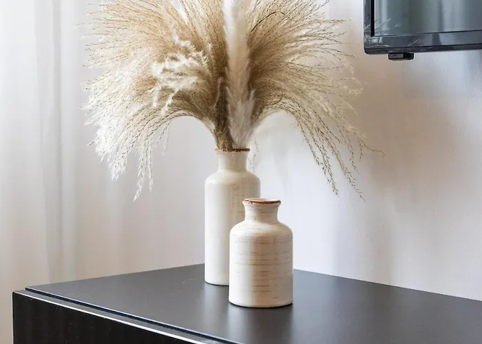 펜션 Mirela Cibaca